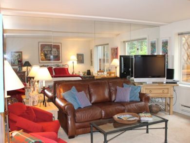Vail Lionshead Home 896264